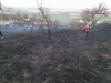 29.3. 2017 Výhon