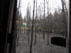 sam_0137