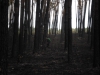 sam_0140