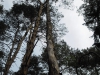 sam_0144