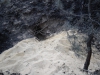 sam_0145