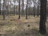 sam_0148