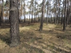 sam_0149