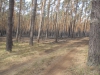 sam_0150