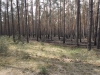 sam_0151