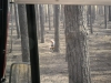sam_0153