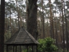 sam_0154