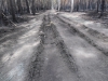 sam_0155