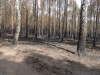 sam_0157