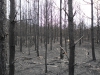 sam_0159
