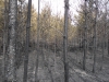 sam_0160