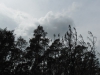 sam_0162