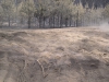sam_0163