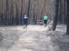 sam_0164