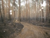 sam_0166