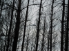 sam_0170