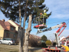 275777234_674981383704395_4396723901203933337_n