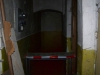 snimek_029