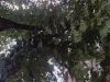 Opatovice 2