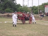 DSCF0041 (2)