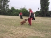 DSCF0136